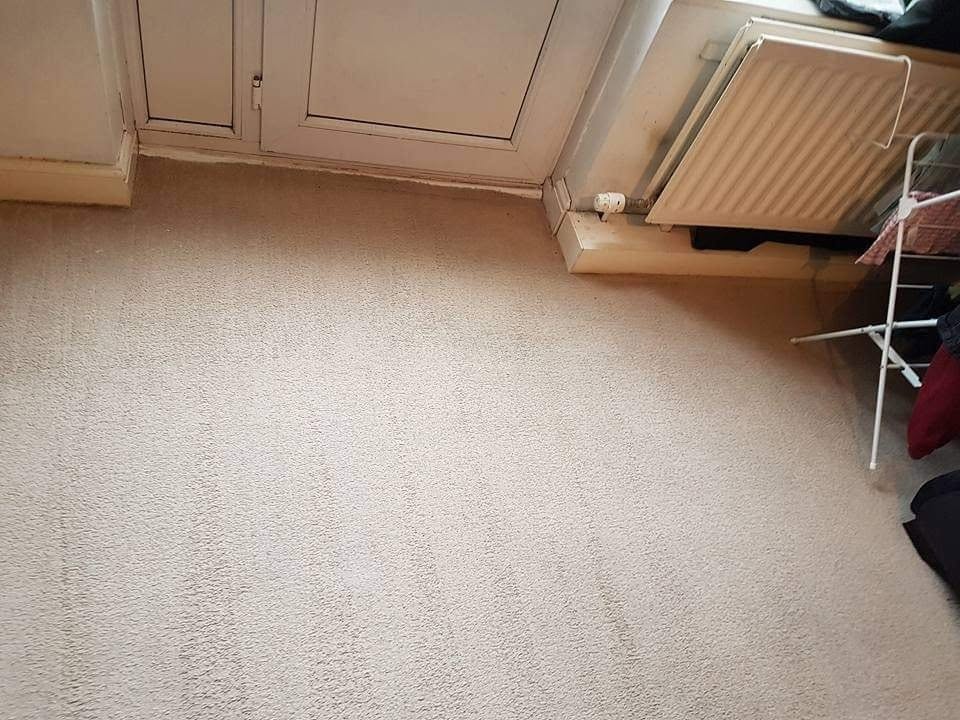 Carpet cleaning in Folkestone, after cleaning